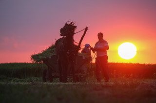 І сонце спатоньки зове