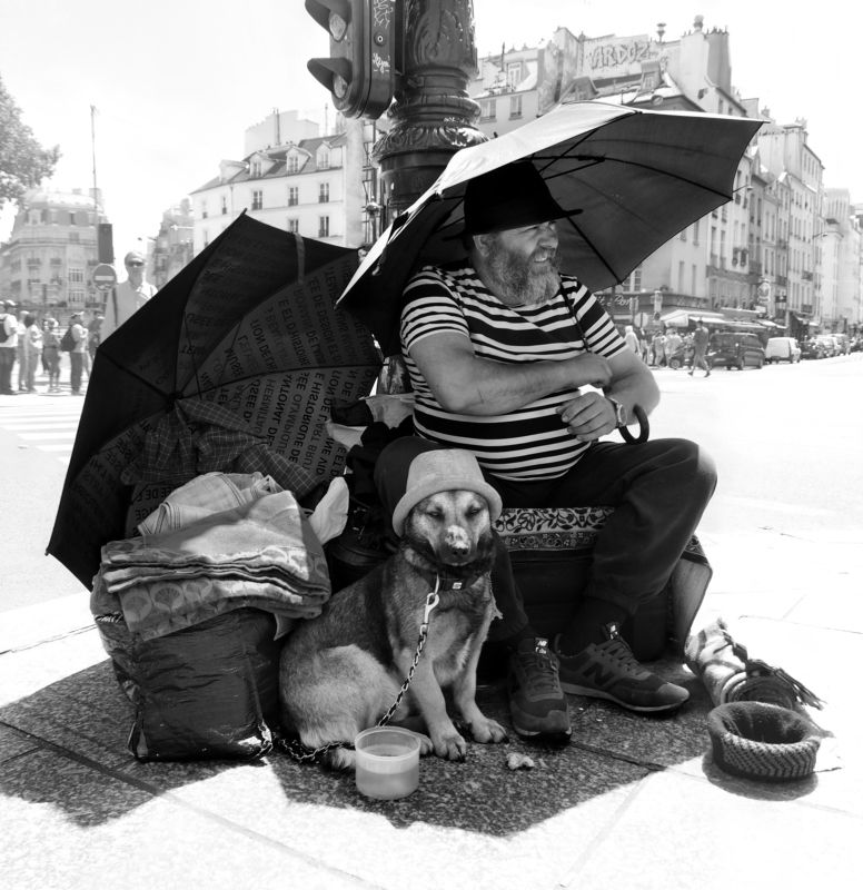 street, reportage, paris, man, pets, clochard, contrast, shadow, man, dog, hat, umbrella Островphoto preview