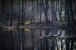 Rezerwat Niebieskie Źródła