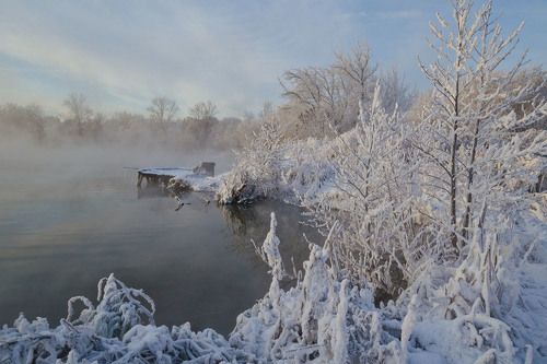 Белые берега декабря