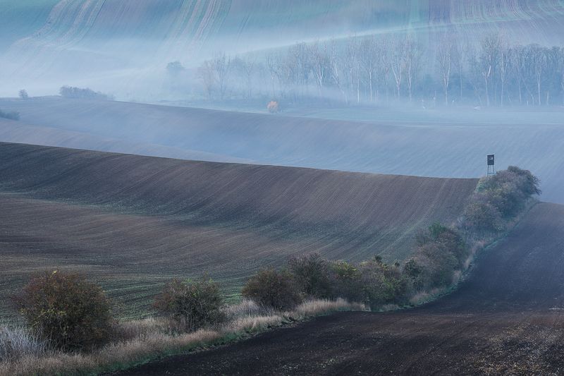 моравия, осень, поля, туман Пробуждениеphoto preview
