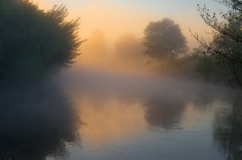 Летнее утро на реке ..