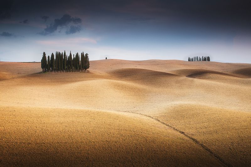 tuscany, italy, morning Золото Тосканыphoto preview