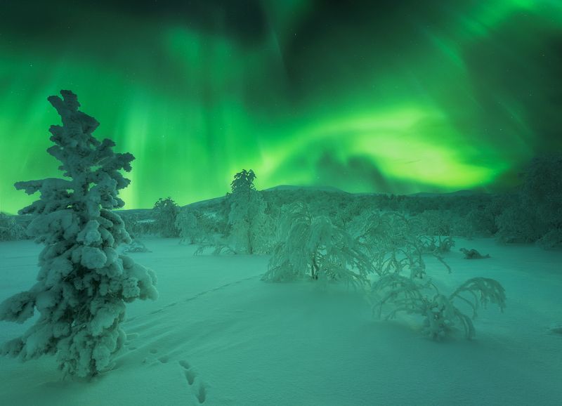 кольский полуостров, aurora borealis, северное  сияние Тропинкаphoto preview