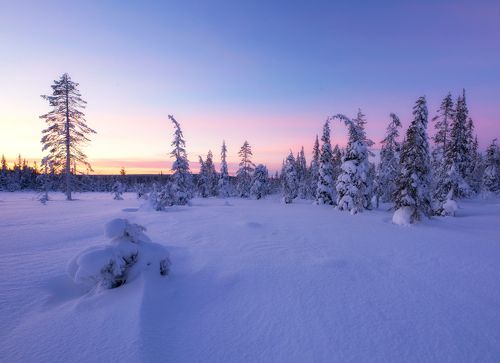 Magical Winter in Lapland