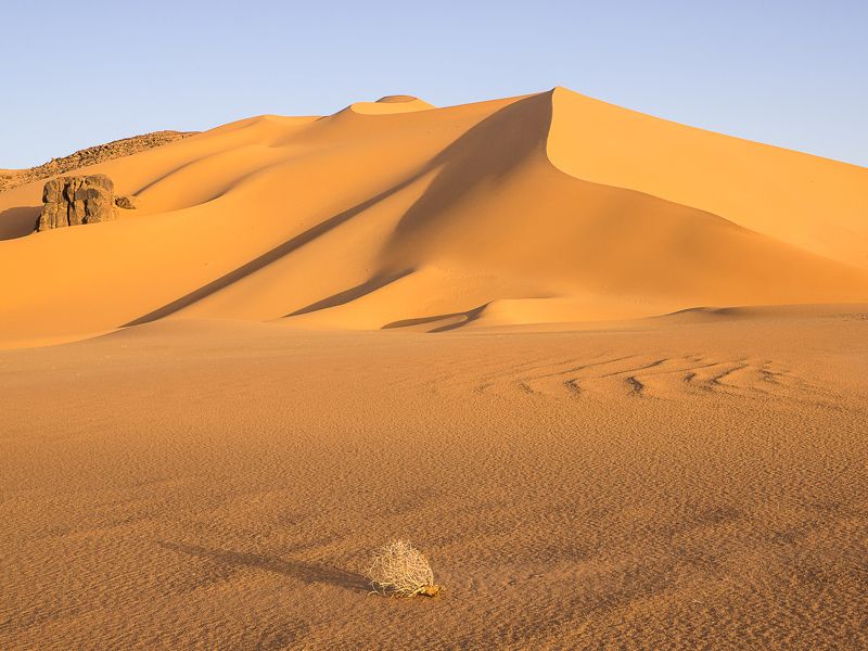 алжир, пустыня, сахара, тадрарт, песок, дюны, утро Раннее утроphoto preview