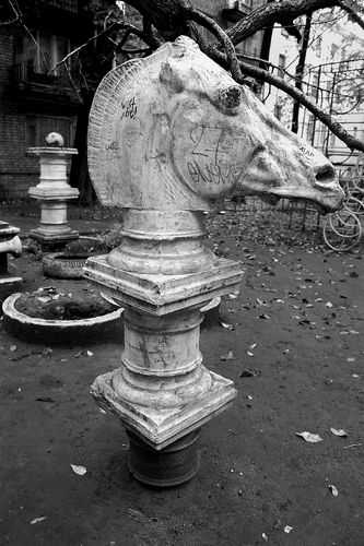 Конь в петербургском дворике. 2007