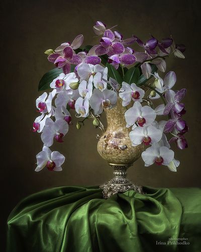 Натюрморт с букетом орхидей