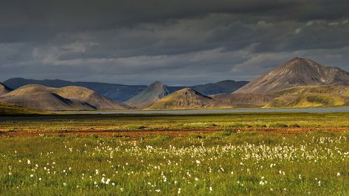 After rain. Iceland