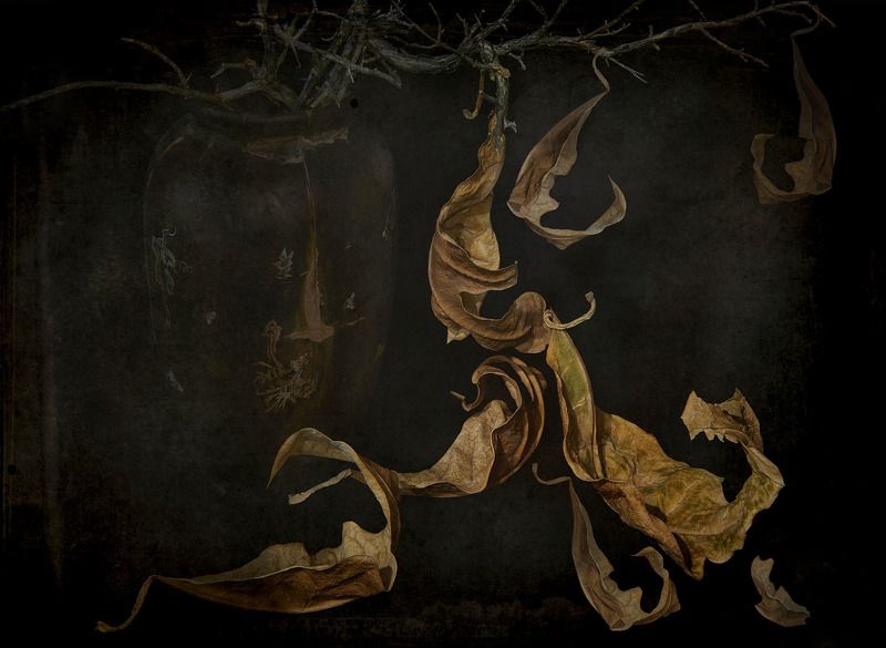 ваза, ветка, засохшие, листья, осенние, темный фон, ретро, гранж, текстура Натюрморт с листьямиphoto preview
