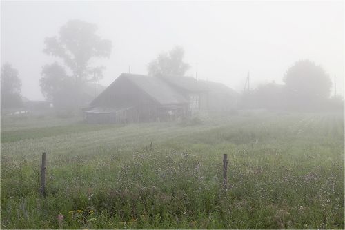 Лето, утро и туман.