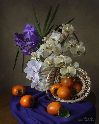 Натюрморт с орхидеями и хурмой