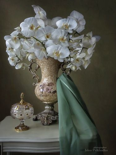 Натюрморт с белыми орхидеями в винтажной вазе