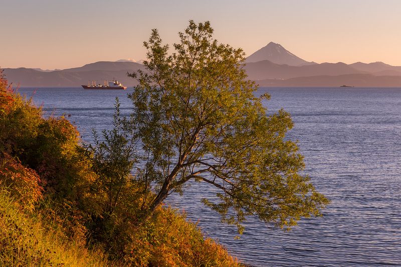 камчатка, тихий океан, авачинская бухта, петропавловск-камчатский На склонеphoto preview