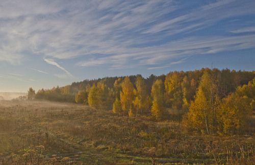 Осень в лесах Архангельского