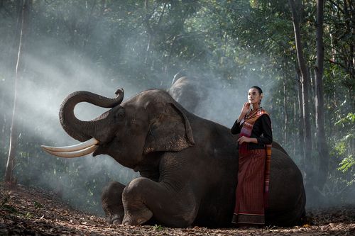 Woman and Elephant 