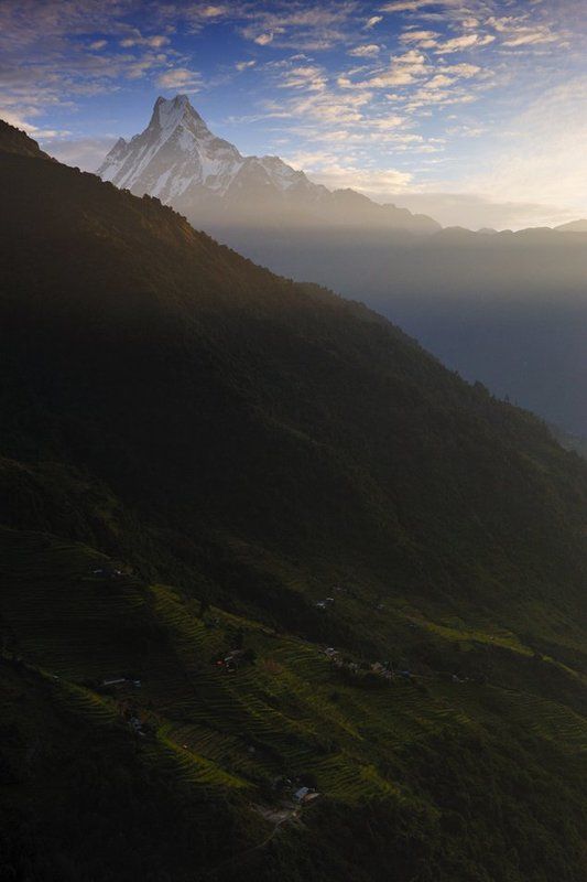 мачапучре, непал, гималаи, горы, рассвет Доброе утро, Мачапучреphoto preview