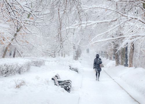 Бульвар в снегу