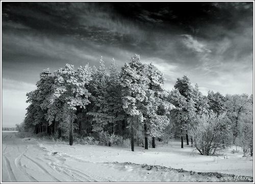 Суровый февраль фото зима пейзаж www.BFoto.ru