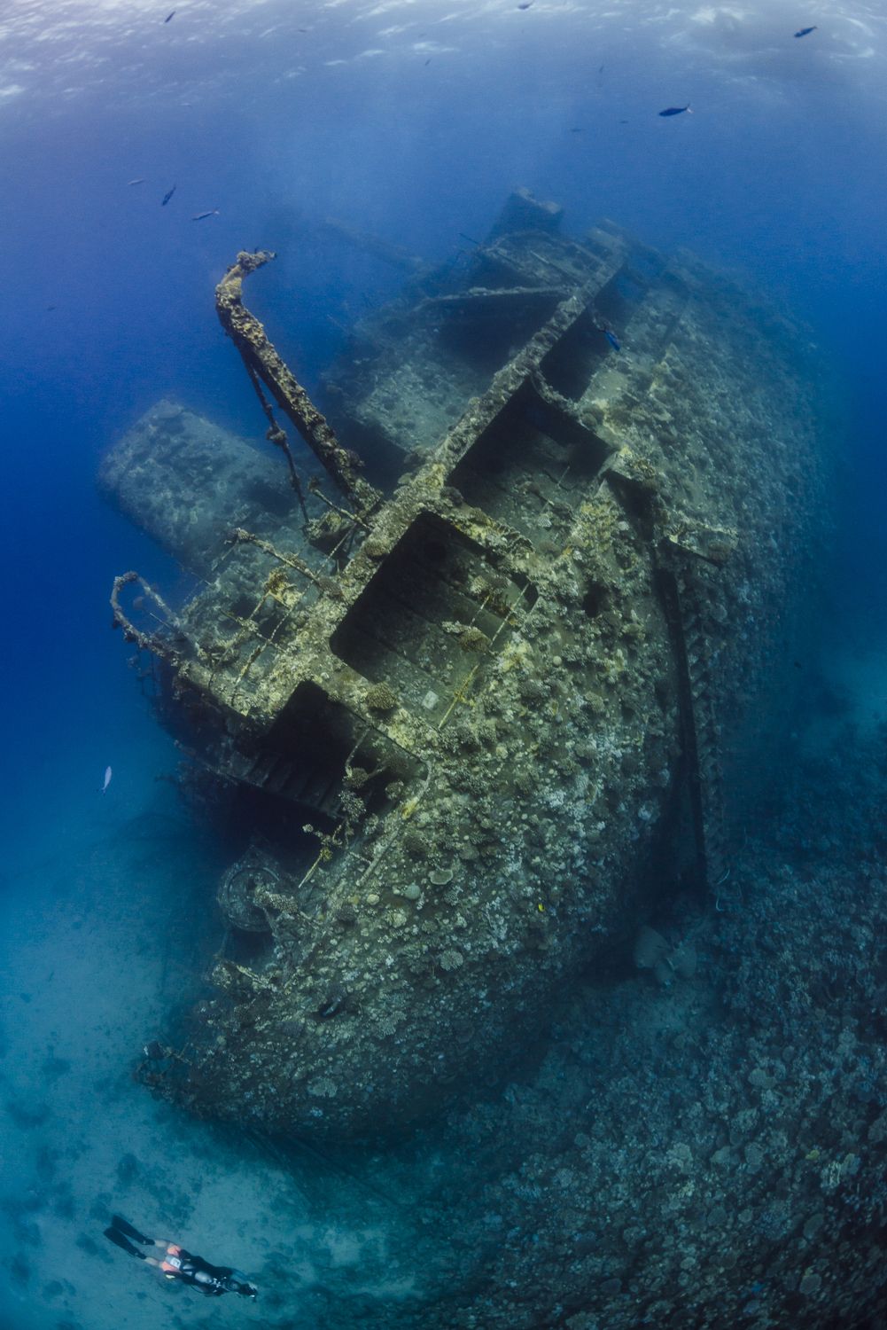 Затонувший испанский Галеон Сан Хосе. Карибское море Бермудский треугольник. Затонувший корабль «Джонстон». Корабли под водой. Корабли на дне океанов