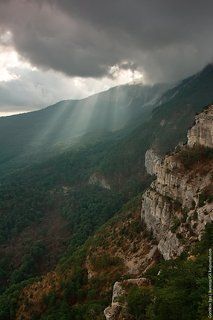 Лучи
