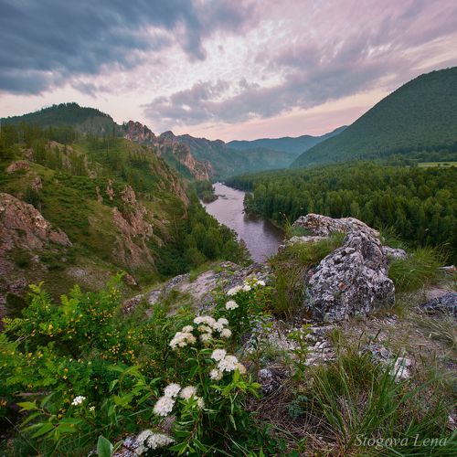 Цветы, горы, река