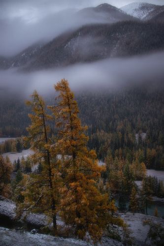 Алтайской осенью