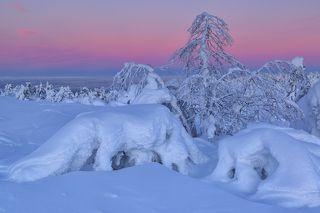 Снежные края...