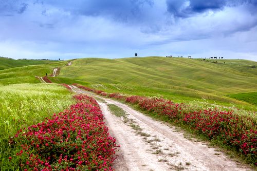 Road of Tuscany