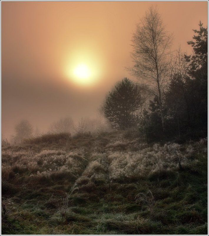 туман, утро, рассвет Сонная лощинаphoto preview