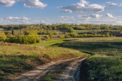 Просторы Тульской Области. Фотограф Мартыненко Дмитрий