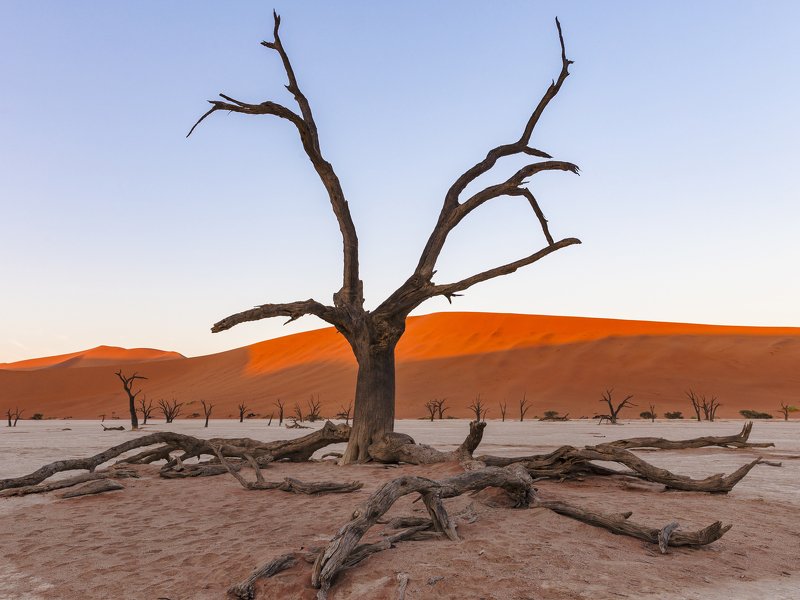 desert Namibia Deadvleiphoto preview