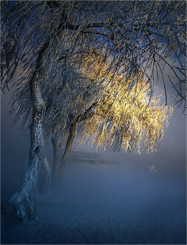 зима, снег, мороз Тёплый луч морозным утромphoto preview