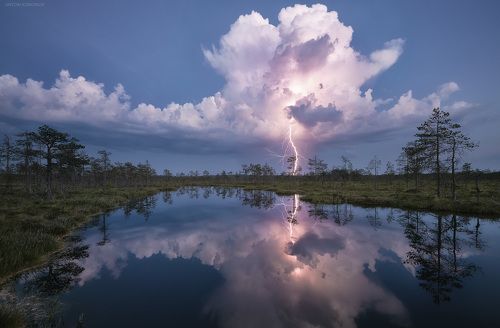 Молния на болоте
