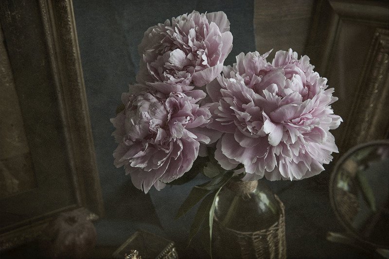 пион, цветок, цветы, цветение, картина, ваза, стол, свет, розовый Пионыphoto preview