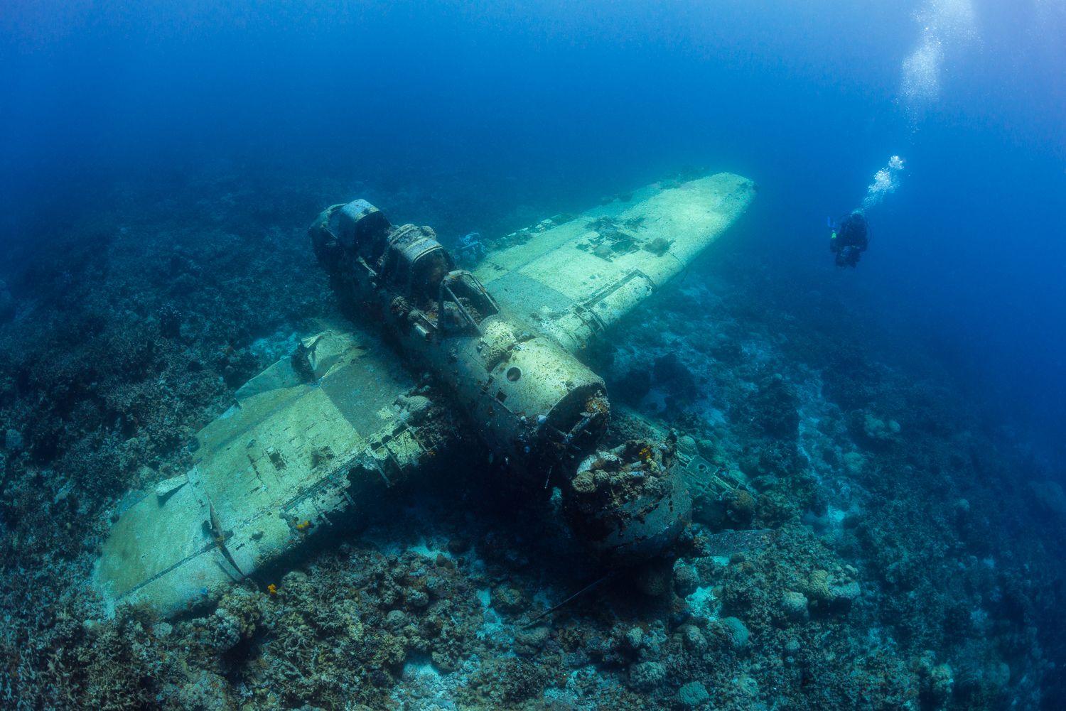Нашли затонувший 70 лет назад самолет. Саргассово море Бермудский треугольник. Норманс Кей затонувший самолет. Маршалловы острова затонувший самолет. Затонувшие военные корабли.