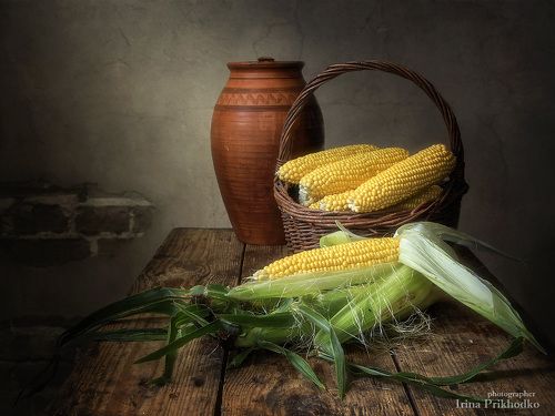 Натюрморт с початками кукурузы