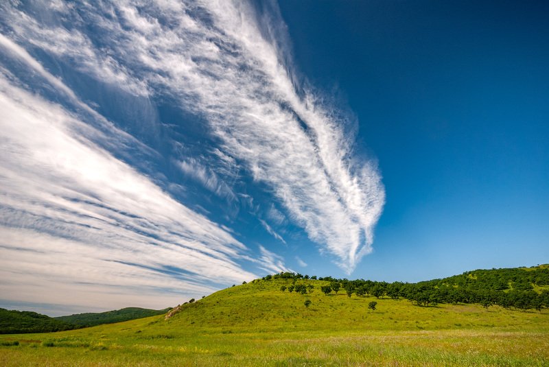 nature, landscape, outdoors, sky, blue, cloud - sky, grass, rural scene, scenics, meadow, summer, tree, hill, mountain, green color, forest, beauty in nature, cloudscape, weather, environment Windows 95photo preview