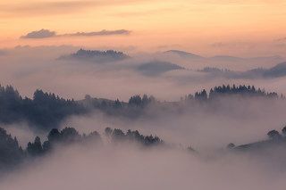 Карпаты.Красноилля.