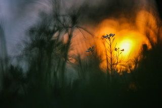 Еще один миг заката
