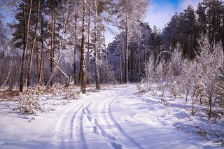 Дорога в сказку.