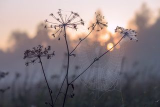 Забрезжил рассвет