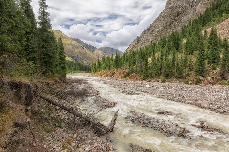 горная река, левый талгар, казахстан, заилийский алатау, лес, Горная рекаphoto preview