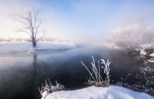 Зимнее утро у реки