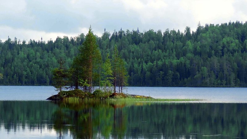 карелия озеро Летняя Карелияphoto preview