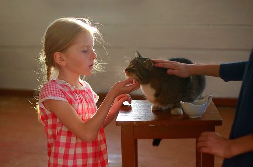 Истории из детства. Девочки и кот Васька 