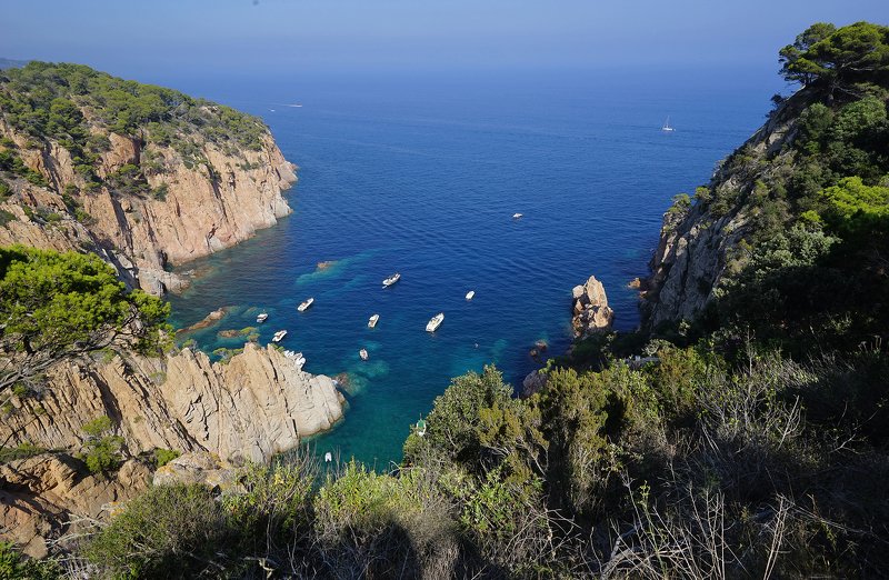 каталония, аигуа блава, скалы море, сосны в лагунеphoto preview