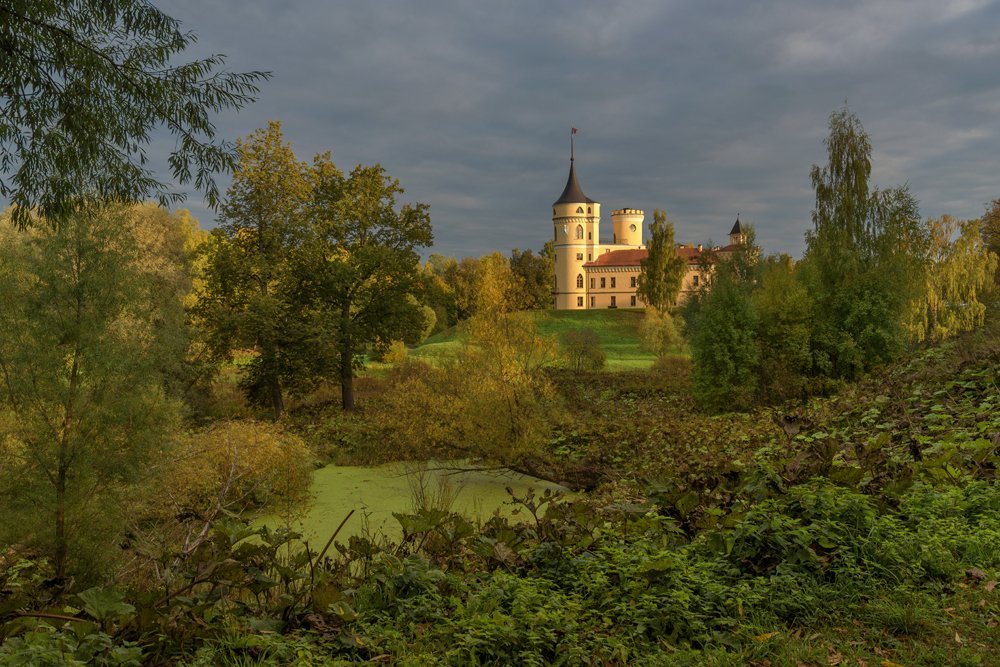 Павловские замки фото