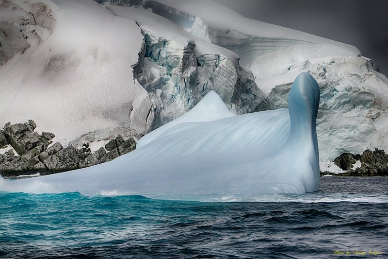 Антарктида 61photo preview