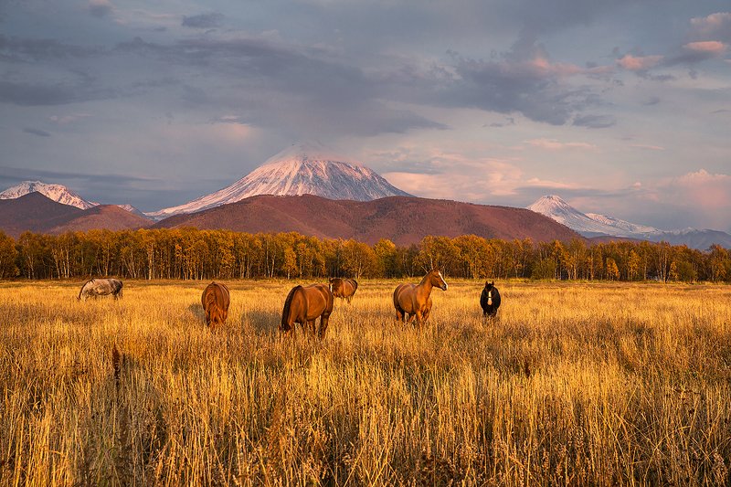 Осенняя Камчатка красивые фото